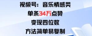 视频号分成计划新玩法 音乐情感类单条34W点赞 变现四位数 方法简单易复制-资源云