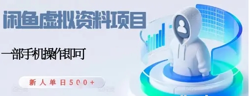 闲鱼虚拟资料项目 每天一小时 新人日入5张-资源云