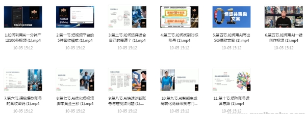 AI短视频爆款全攻略 从赛道选择到矩阵运营 一套跑通带货与门店引流的实战课-资源云