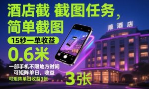 酒店截图任务，简单截图，15秒一单收益0.6米，一部手机不限地方时间，可矩阵单日收益3张【揭秘】-资源云