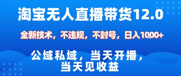 淘宝无人直播12.0，公域私域技术，不封号，不违规布局双十一流量风口，日入1k（独家技术）【揭秘】-资源云