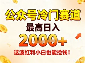 公众号冷门赛道,最高日入1k+,这波红利小白也能捡钱!-资源云