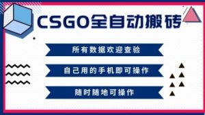 CSGO全自动搬砖,年底钱回家好项目,当天可拿到结果,新手小白轻松月入1W+【揭秘】-资源云