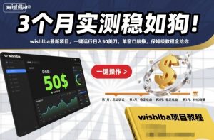 3个月实测稳如狗！wishlba最新项目，一键运行日入50美刀，单窗口躺挣，保姆级教程全给你【揭秘】-资源云