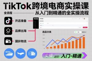 TikTok跨境电商实操课，从入门到精通的全实操流程-资源云