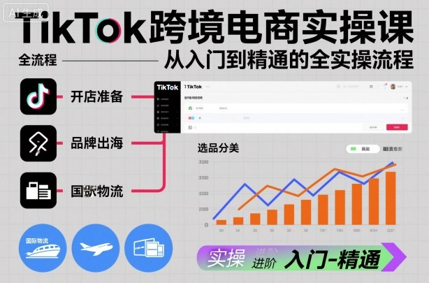 TikTok跨境电商实操课，从入门到精通的全实操流程-资源云