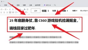 25年底翻身仗,靠CSGO游戏挂G捡漏掘金,搞钱回家过肥年【揭秘】-资源云