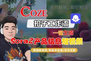 Coze扣子智能体工作流一键生成“SORA2产品信息“短视频,全流程保姆级教学-资源云