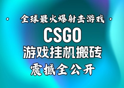 【年底大揭秘】基于全球最火爆的射击CSGO游戏挂G搬砖，日入5张+，震撼公开-资源云