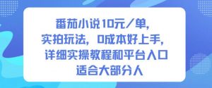 番茄小说10米每单，实拍玩法，0成本好上手，详细实操教程和平台入口适合大部分人-资源云