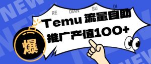 专注于Temu商家提供精准曝光浏览量，助力店铺排名提升和转化，单机日收入80-130【揭秘】-资源云