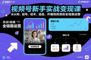 视频号新手实战变现课，从认知、起号、话术、选品、开播到投放的全链路运营-资源云