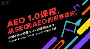 AEO 1.0 课程，从SEO到AE0的基命性转变，手把手教会你用AnswerEngineOptimization技术抢回流量（更新）-资源云