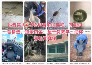 抖音某大V万物科普解说课程,可进抖音精选,独家内容,超干货教学,助你涨粉又賺钱-资源云