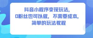 抖音小程序变现玩法,0粉丝也可以做,不需要成本,简单的玩法教程-资源云