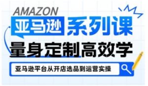 亚马逊新手开店从入门到精通,全面覆盖亚马逊开店各阶段要点,助新手从入门到精通-资源云
