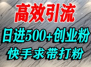 怎么打创业粉？快手求带视角精准引流创业粉，宝妈、学生群体日进500+精准流量-资源云
