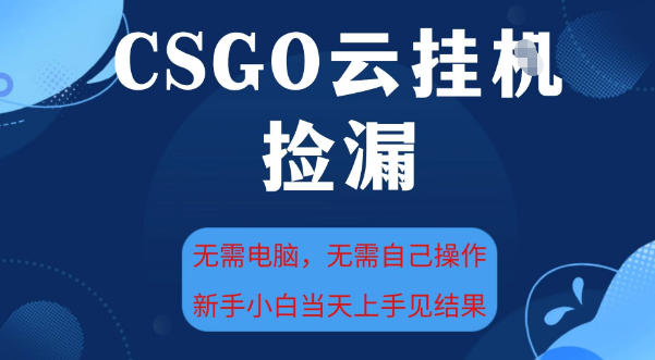 CSGO云挂G全自动捡漏，最新独家玩法，无需电脑操作，新手小白日入5张+【揭秘】-资源云