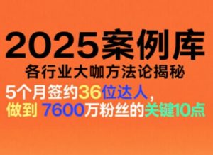 2025案例库，收录各行业大咖的方法论，各行业大咖方法论揭秘-资源云