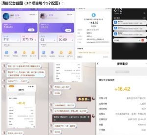 当天能收益的3个小项目拆解_包括平台+操作流程-资源云
