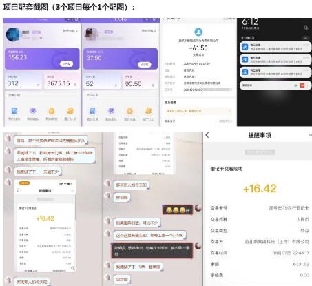 当天能收益的3个小项目拆解_包括平台+操作流程-资源云
