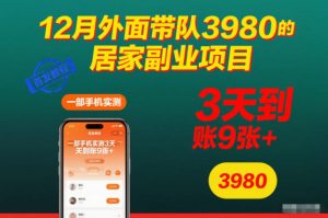 12月外面带队3980的居家副业项目,一部手机实测3天到账9张+,首发教程【揭秘】-资源云