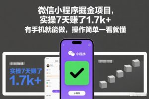 微信小程序掘金项目，实操7天賺了1.7k+，有手机就能做，操作简单一看就懂【揭秘】-资源云