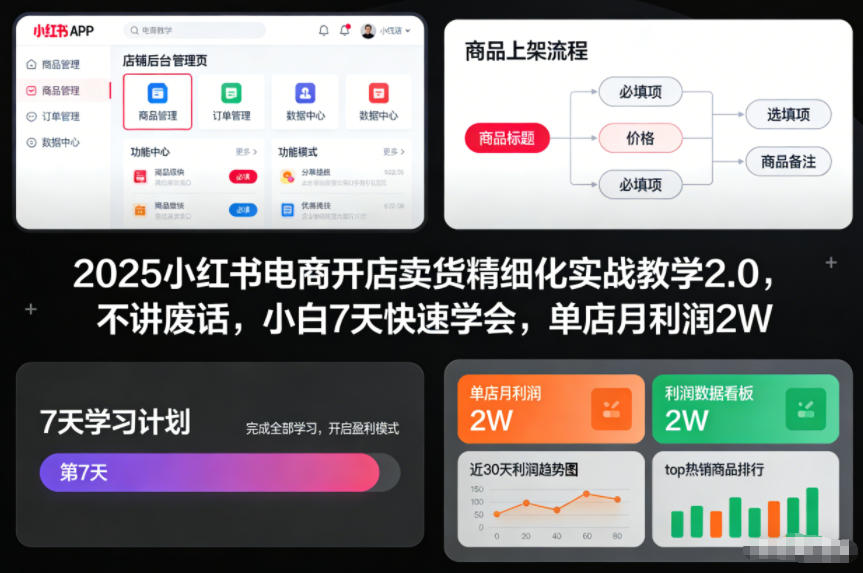2025小红书电商开店卖货精细化实战教学2.0，不讲废话，小白7天快速学会，单店月利润2W-资源云