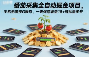 番茄采集全自动掘金项目,手机无脑挂G操作,一天保底收益18+可批量多开【揭秘】-资源云