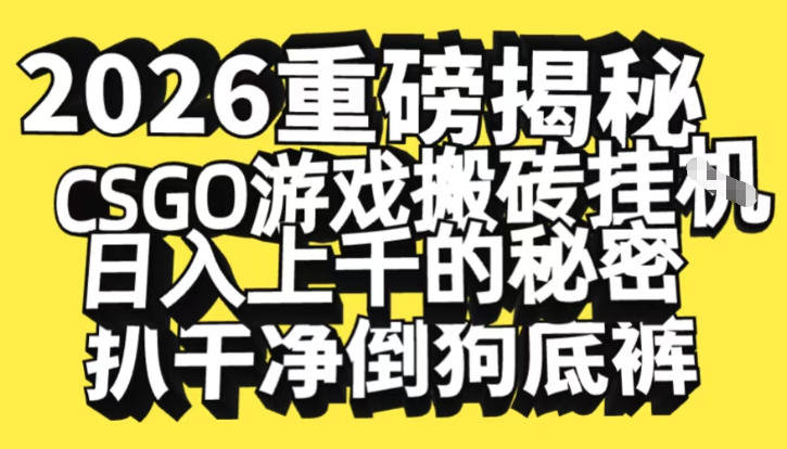 2026开年重磅解密，CSGO游戏搬砖挂G日入1k+的秘密，把倒狗的底裤扒干【揭秘】-资源云