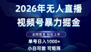 2026最新视频号无人直播掘金，全网首发，小白可以玩，长期稳定日入1k+【揭秘】-资源云
