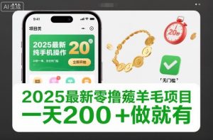 2025最新零撸薅羊毛项目，纯手机操作，20秒一单，无任何门槛，一天200+做就有【揭秘】-资源云
