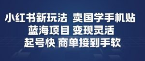 小红书新玩法，卖国学手机贴，蓝海项目，变现灵活，起号快，商单接到手软-资源云