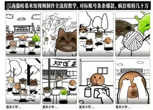 卤蛋哈基米短视频制作全流程教学，条条爆款，疯狂吸粉几十万-资源云