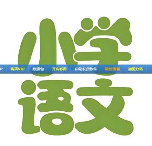 文老师《小学语文课程合集 (基础知识+阅读理解+作文) 》 66GB-资源云