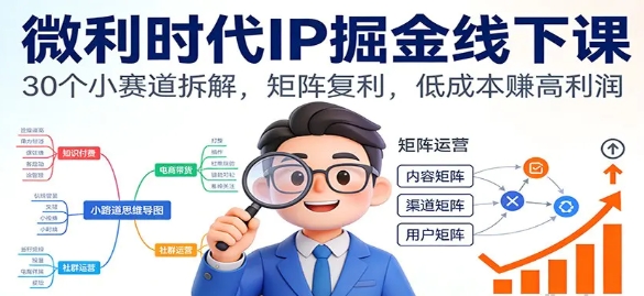 微利时代IP掘金线下课 30个小赛道拆解 矩阵复利 低成本赚高利润-资源云