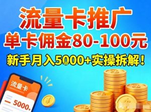 流量卡推广，单卡佣金80-100，新手月入5k+实操拆解！-资源云