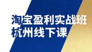 淘宝盈利实战班杭州线下课12月26-28日(音频+字幕),帮你掌握SOP流程+12门核心技术-资源云