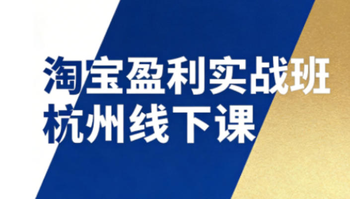 淘宝盈利实战班杭州线下课12月26-28日（音频+字幕），帮你掌握SOP流程+12门核心技术-资源云