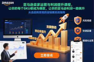 亚马逊卖家运营与利润提升课程，让你的每个SKU都成为爆款，让你的亚马逊利润一路飙升（更新12月）-资源云