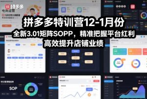 拼多多特训营12-1月份，全新3.01矩阵Sop，精准把握平台红利，高效提升店铺业绩-资源云