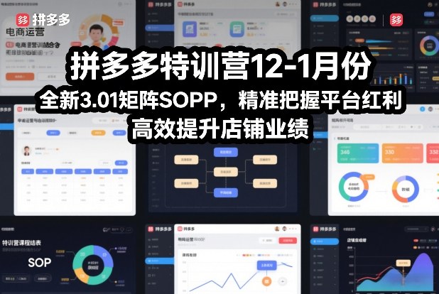 拼多多特训营12-1月份，全新3.01矩阵Sop，精准把握平台红利，高效提升店铺业绩-资源云