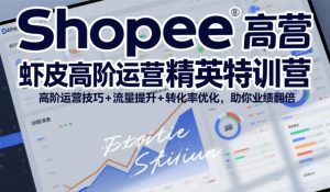 Shopee虾皮高阶运营精英特训营，高阶运营技巧+流量提升+转化率优化，助你业绩翻倍-资源云