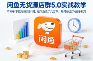 闲鱼无货源店群5.0实战教学，不补单，不投流，每天5小时，在闲鱼卖了几万单，每月5k到7k的净利润-资源云