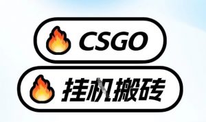 真全网独家CSGO挂G，最新玩法,单日捡漏1K+，不用电脑，不用打游戏【揭秘】-资源云