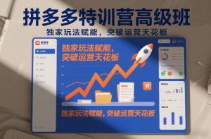 拼多多特训营高阶班，独家玩法赋能，突破运营天花板（更新26年1月）-资源云