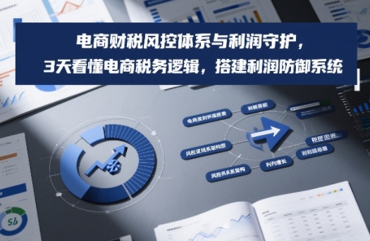 电商财税风控体系与利润守护，3天看懂电商税务逻辑，搭建利润防御系统-资源云