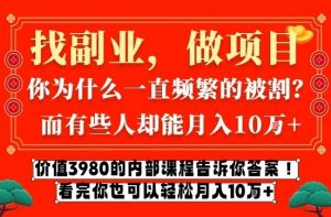 价值3980的网创内部课程，告诉你互联网创业月入10个W的秘密【揭秘】-资源云