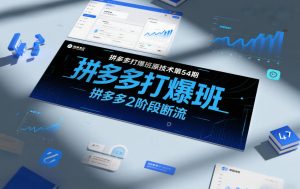 拼多多打爆班原创技术第54期，拼多多2阶段断流-资源云