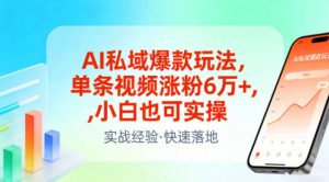 AI私域爆款玩法，单条视频涨粉6W+，小白也可实操-资源云